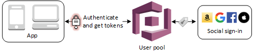 Get token. Amazon Cognito. OPENID-connect 1c что это. Blitz Identity provider.