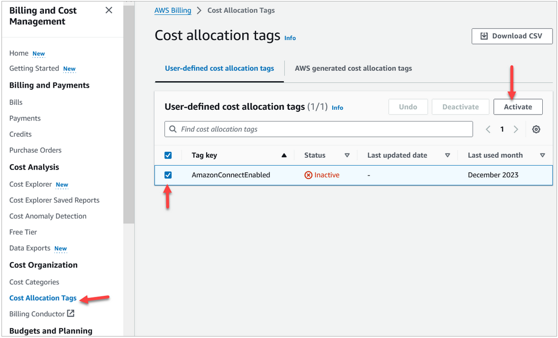 Contact tags on the cost allocation tags page.