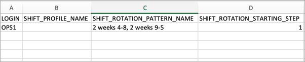 The template with a sample shift rotation pattern name in column C and shift rotation in column D.