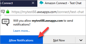 
                            The browser prompts to allow notifications.
                        