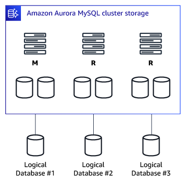 DB cluster