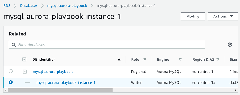 Database instance with the writer role