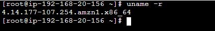 Terminal output showing Linux kernel version 4.14.177-107.254.amzn2.x86_64.