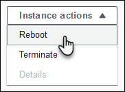 
        Environment health page showing the instance actions menu for rebooting or terminating unhealthy instances
      