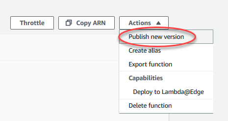Screenshot of the Actions menu with Publish new version highlighted.
