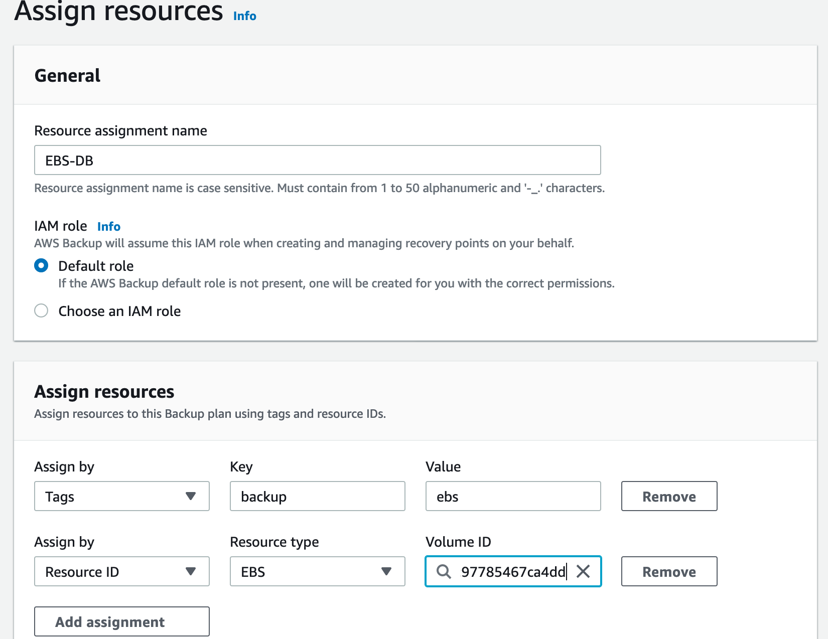 The AWS Backup 'Assign resources' page, showing fields for resource assignment name, IAM role selection, and resource assignment by tags or resource ID with an example EBS volume ID entered.