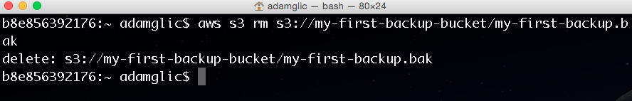 Using the aws s3 rm command to delete a file from an S3 bucket.