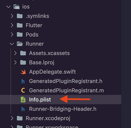 Info.plist in ios/Runner