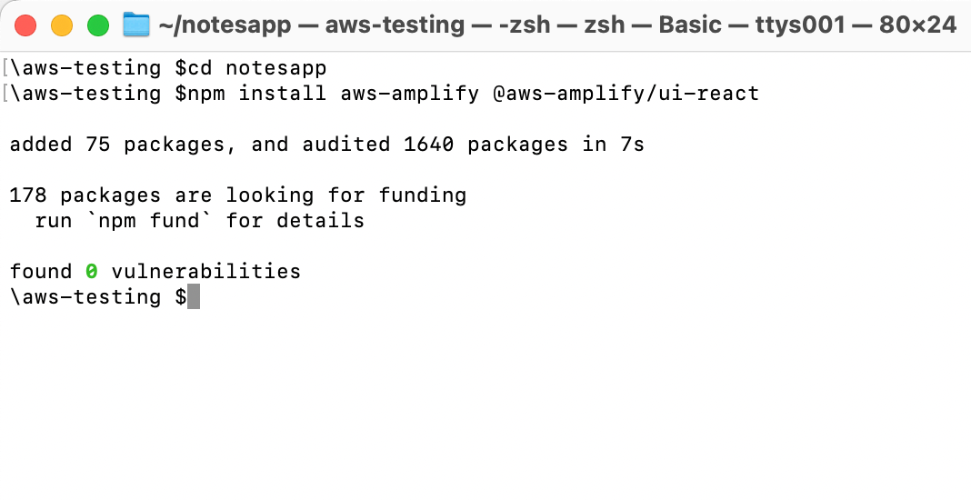 Terminal showing using npm install.