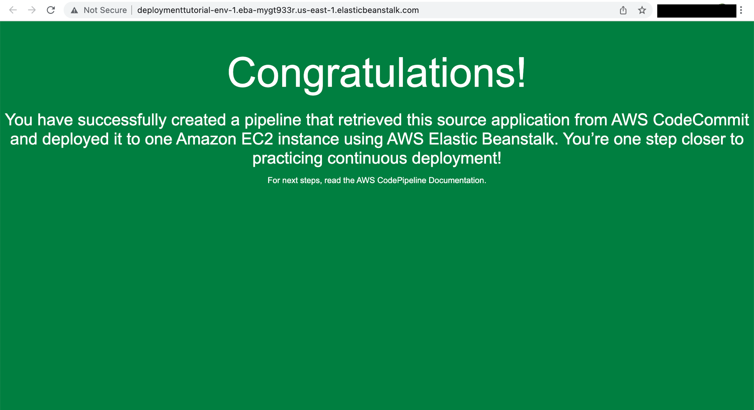Interface element requiring manual review.