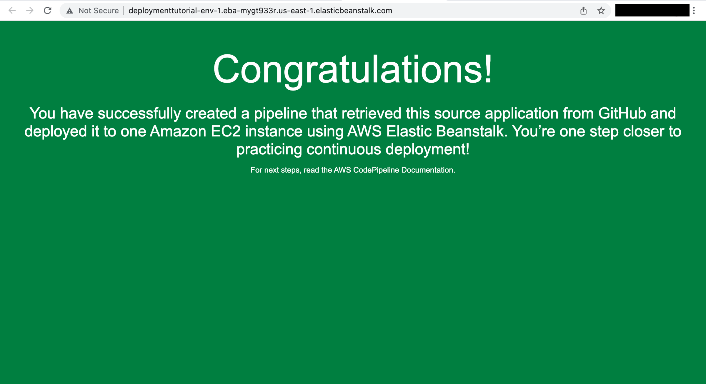 Interface element requiring manual review.