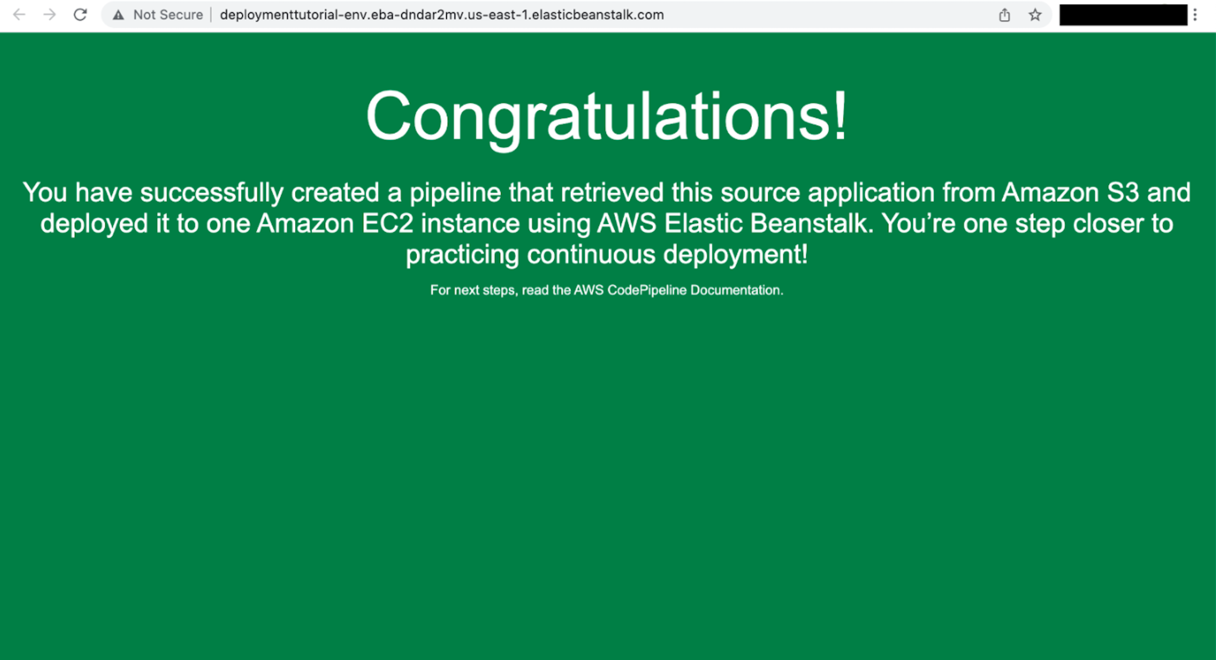 Interface element requiring manual review.