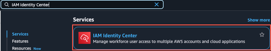 Search result for 'IAM Identity Center' showing a highlighted service description: 'Manage workforce user access to multiple AWS accounts and cloud applications.'.