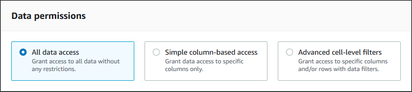 
                           The section contains three tiles, arranged horizontally, each
                              with an option button and a description. The option buttons are: All
                              data access (selected), Simple column-based access, and Advanced
                              cell-level filters.
                        