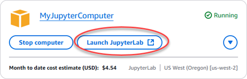 The Launch application button.