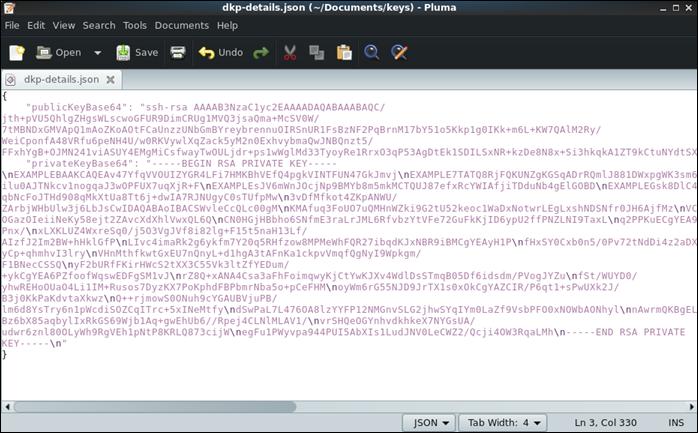 Example contents of the dkp-details.json file.
