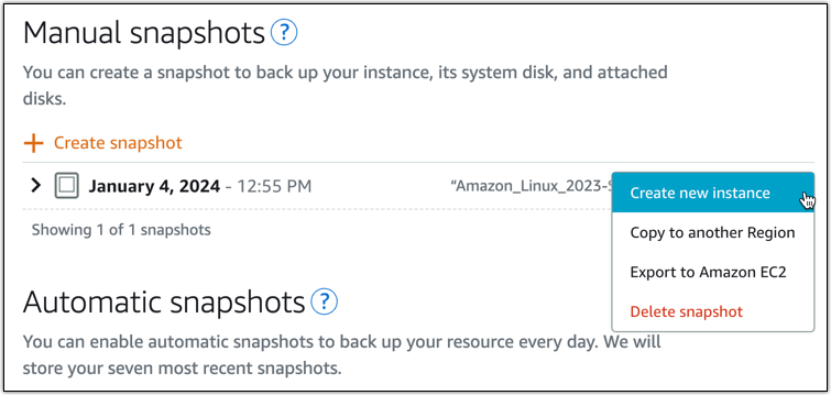 The Manage snapshots menu showing the cursor choosing Create new instance.
