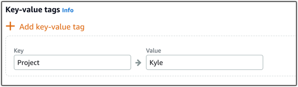 
                Key-value tags in the Lightsail console.
              