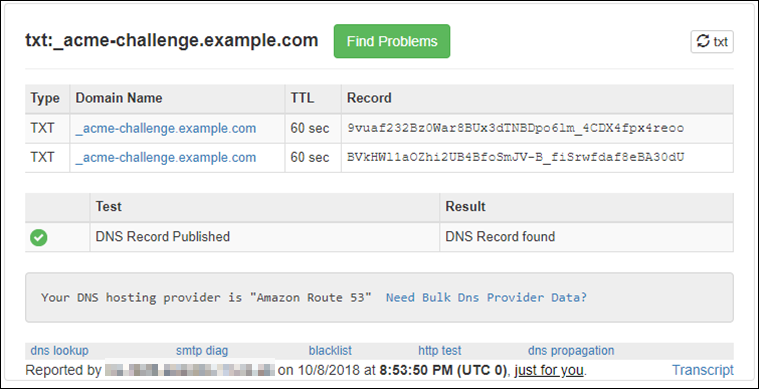 
                Confirmation that TXT records propagated.
              