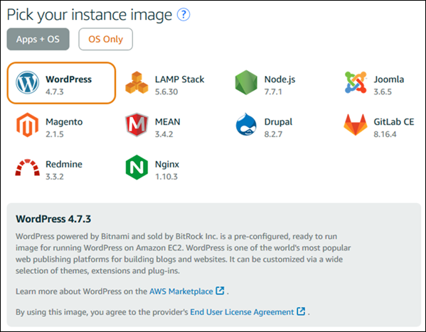 
            Pick WordPress as your Lightsail instance image
          