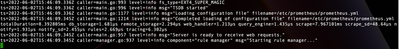 Prometheus start output