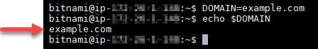 
            Confirm the domain environment variable.
          