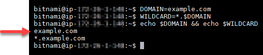 
            Confirm the domain environment variables.
          