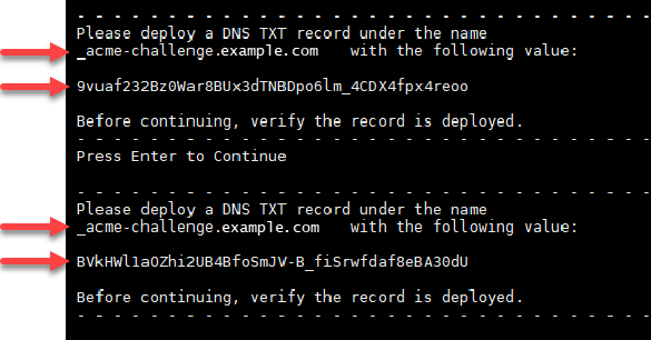 
            TXT records for Let's Encrypt certificates.
          
