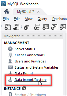 MySQL Workbench data export option