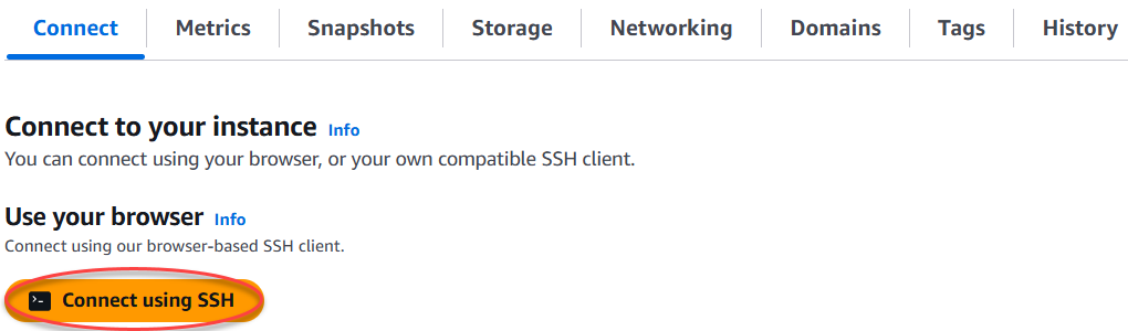 Connect using SSH in the Lightsail console