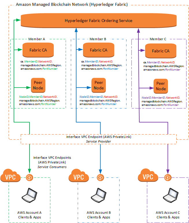 Diagram showing components of Hyperledger Fabric blockchain network on AWS, including ordering service, member CAs, peer nodes, VPCs, and AWS accounts. (AI generated)