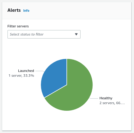 Pie chart showing server status: 2 healthy servers (66.7%) and 1 launched server (33.3%).