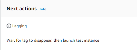 Next actions box showing "Lagging" status and instructions for launching test instance.
