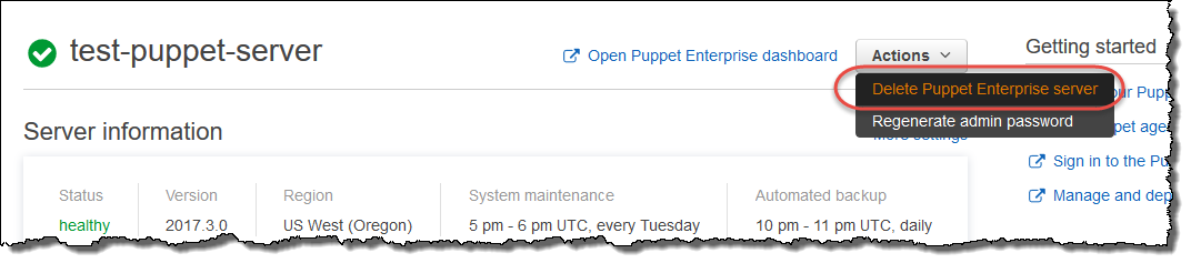 OpsWorks for Puppet Enterprise Delete Server command