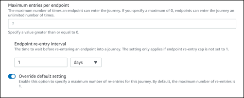 The text box for the maximum entries per endpoint value, Endpoint re-entry interval and how to override it.