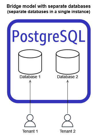 
          SaaS PostgreSQL bridge model with separate databases
        