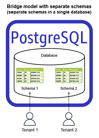 
          SaaS PostgreSQL bridge model with separate schemas
        