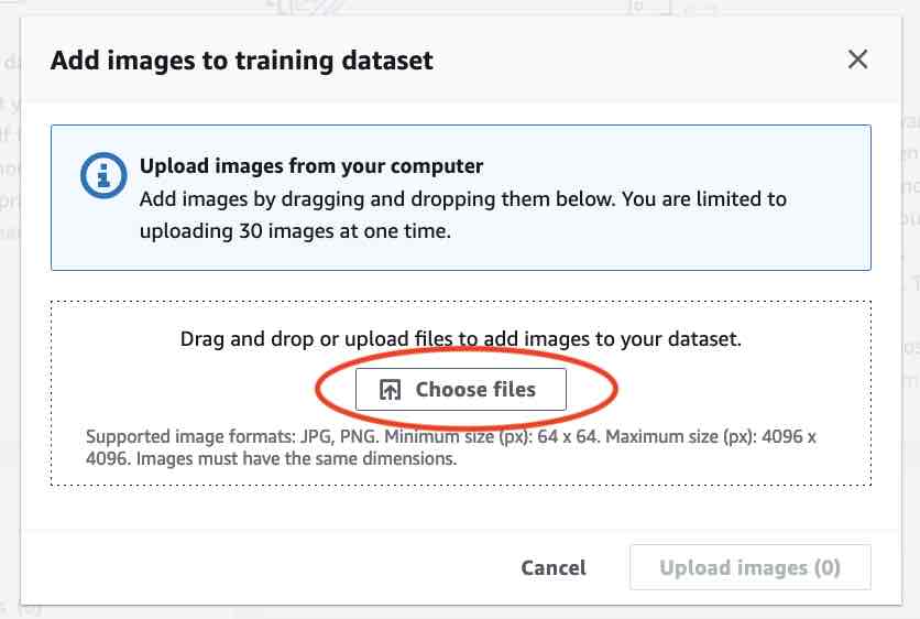 Button to upload image files for training a dataset.