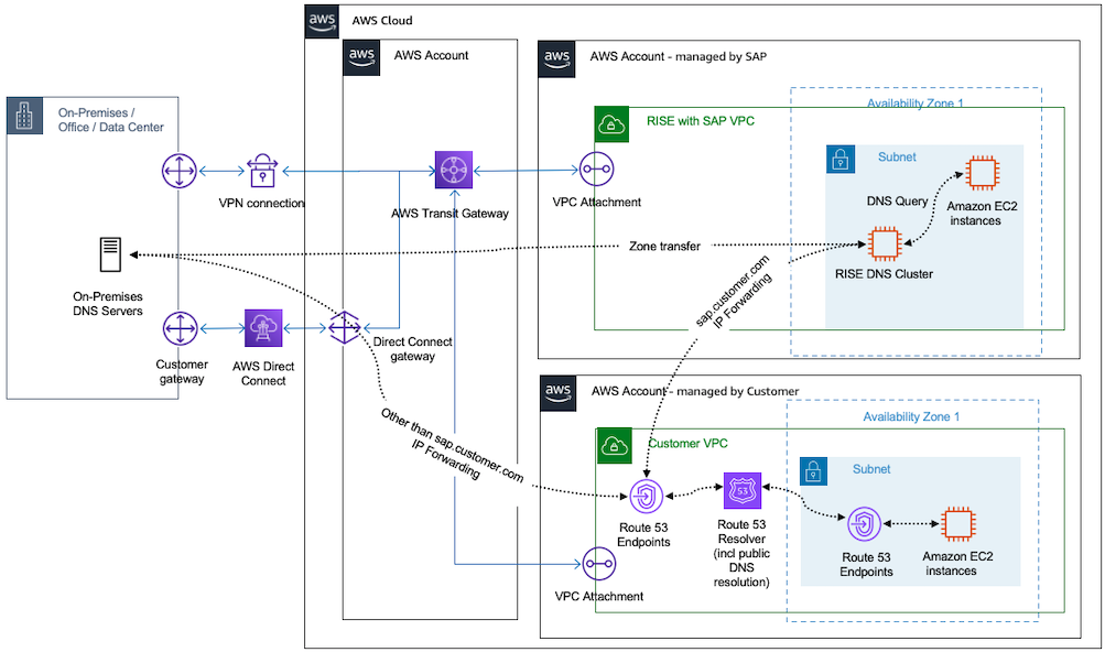 Integrating Domain Name System Route 53 to RISE