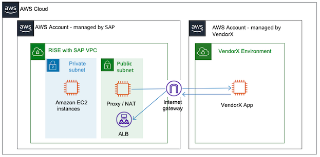 Connecting to cloud solutions or SaaS from RISE