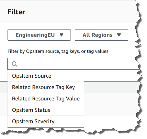 
                                Using the filters Search bar in Systems Manager Explorer
                            