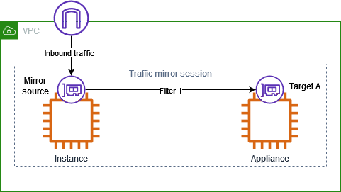 A traffic mirror session where the mirror target is a single appliance.