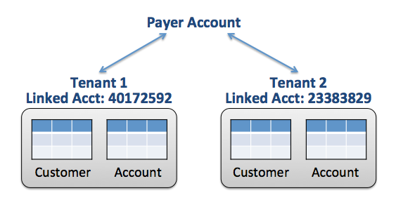 
      A document depicting the silo model with linked accounts.
    