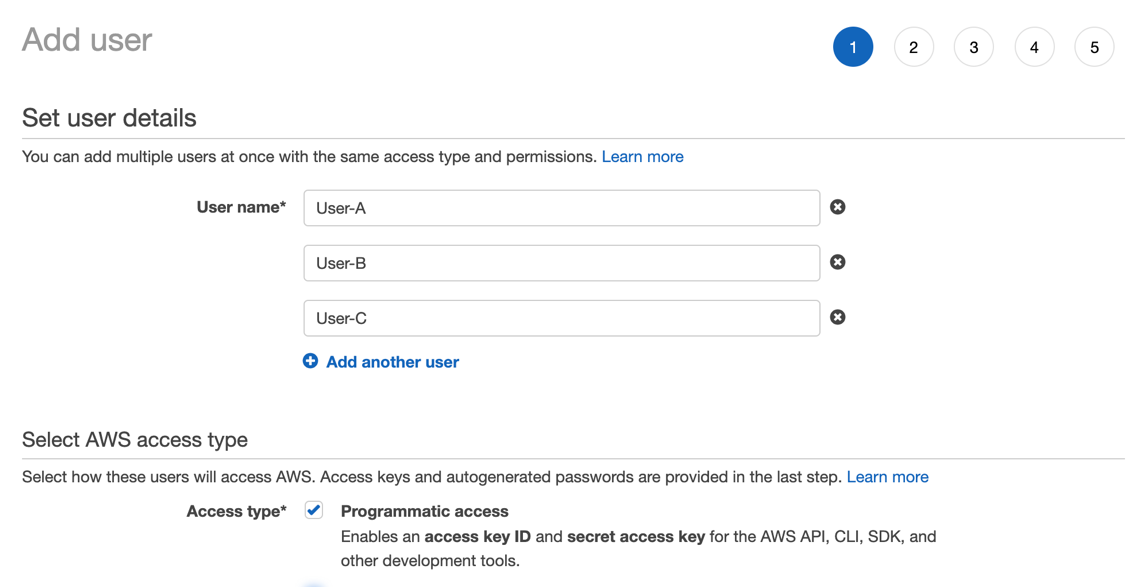 Screen shot of Set User Details.