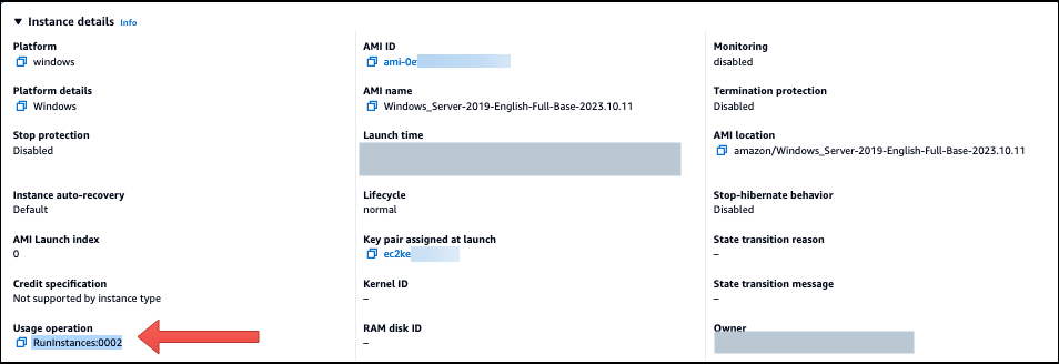 AMI Windows che utilizza :0002 per RunInstances BYOM.