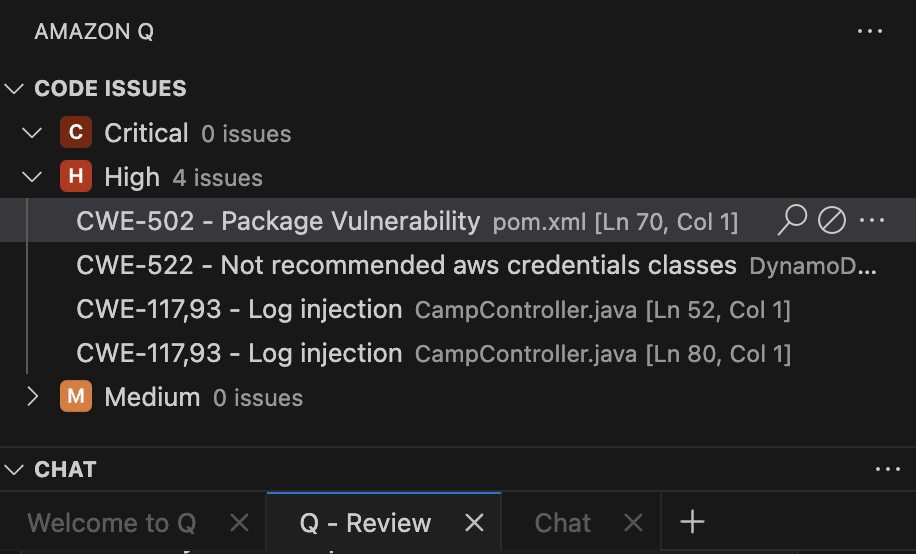 La scheda Code Issues.