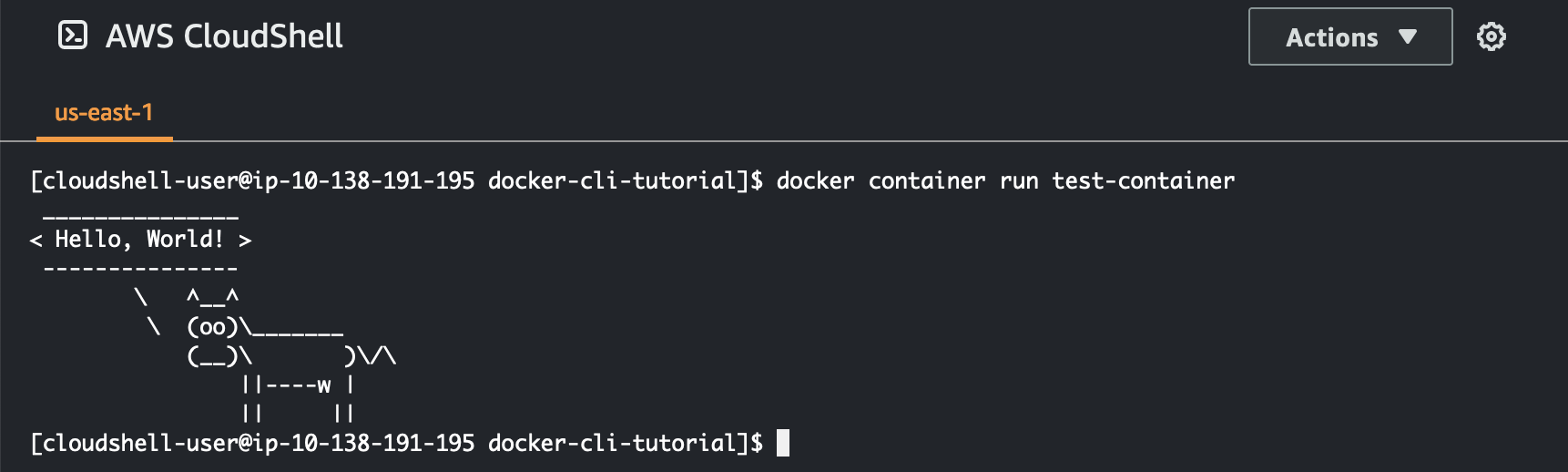 Immagine del comando run del contenitore docker all'interno AWS CloudShell