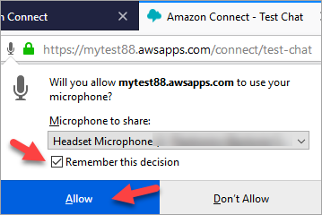 Il browser richiede di consentire all'istanza di accedere al microfono.