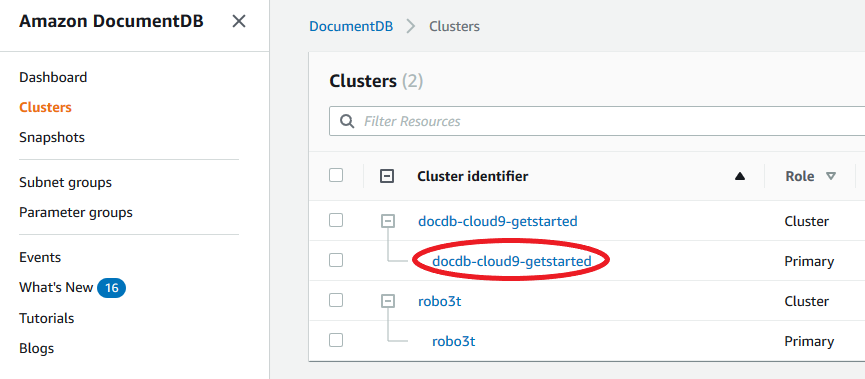 Tabella dei cluster che mostra l'elenco dei cluster nella colonna Cluster identifier, con le istanze annidate all'interno dei cluster.