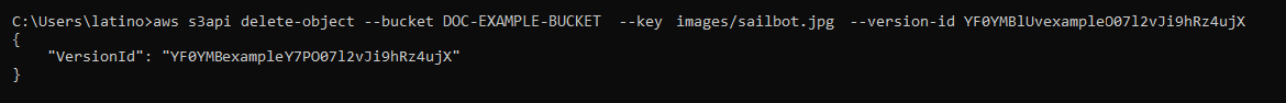 
            Risultato del comando AWS CLI delete-object
          